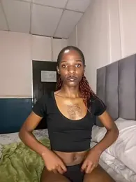 Trans_fairy webcam model stream image