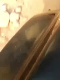 Meow_buggie webcam model stream image