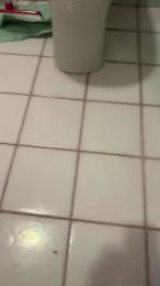 Febs19 webcam model stream image