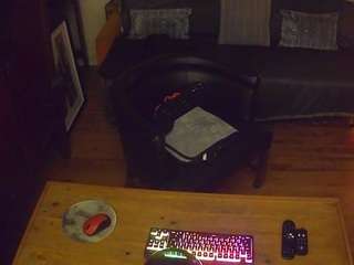 parlortrix webcam model stream image