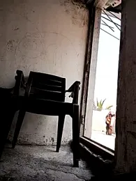 ipvk webcam model stream image