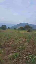 nano362 webcam model stream image