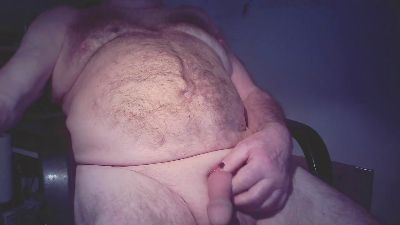 Seniorhengst webcam model stream image