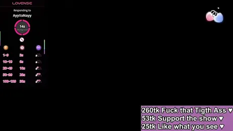 Fire_911 webcam model stream image