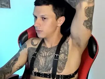 davebrow webcam model stream image