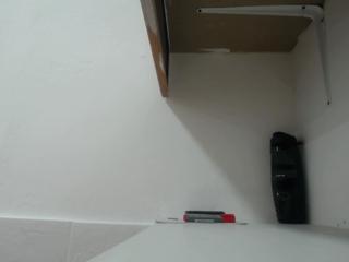 Tim J webcam model stream image