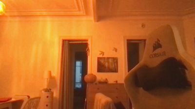 Rubbosaurus webcam model stream image