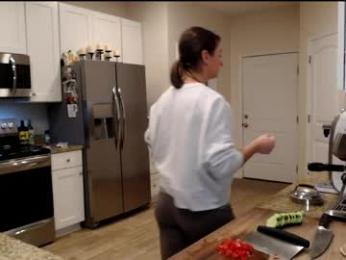 holihurricane webcam model stream image