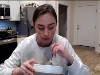 holihurricane webcam model stream image