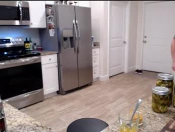 holihurricane webcam model stream image