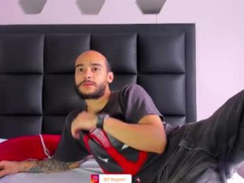 2_fire webcam model stream image