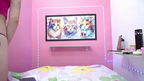 nicol_grey webcam model stream image