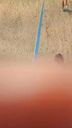 Chicoo20155 webcam cam4 model stream image