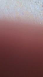 Chicoo20155 webcam model stream image