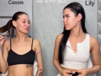 x_kai webcam model stream image