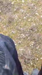 polli_play webcam model stream image