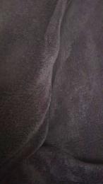 polli_play webcam model stream image