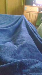 polli_play webcam model stream image