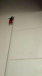 Timothedordain webcam model stream image