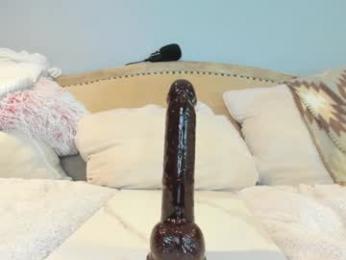 eatmygingersnapps webcam chaturbate model stream image