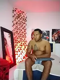 ARTHUR_MINI webcam model stream image