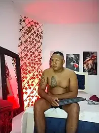 ARTHUR_MINI webcam model stream image