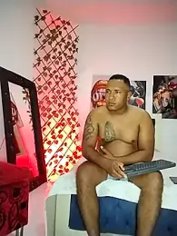 ARTHUR_MINI webcam model stream image