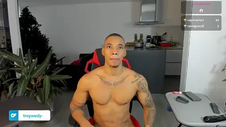 TROYWESLY- webcam model stream image