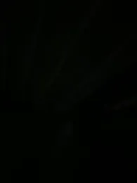 TheRealMrDLlong webcam stripchat model stream image