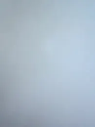 TheRealMrDLlong webcam model stream image