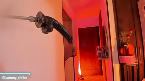 Sammy_charlot webcam model stream image