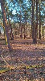 hotbody18y webcam model stream image