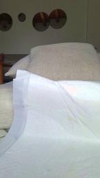 arianny_sexy webcam model stream image