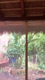 PianoTobe webcam cam4 model stream image