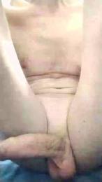 Lizard3 webcam model stream image