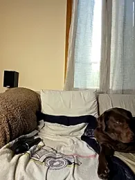 SpiceLea webcam stripchat model stream image