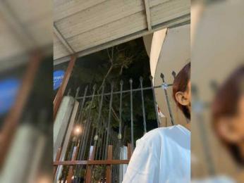 Angellx webcam model stream image