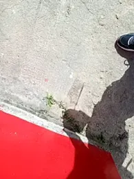 Goriluzdelam webcam model stream image