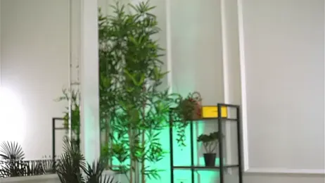 Cherrysweett webcam stripchat model stream image