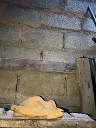 lucas-storm webcam model stream image