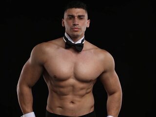 Aron Lake Fit webcam model stream image