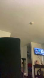 AJ5566 webcam model stream image