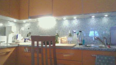 mustangp51 webcam model stream image