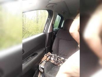 Dreamlove20 webcam bongacams model stream image