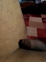 Mumbai_handsom92 webcam stripchat model stream image