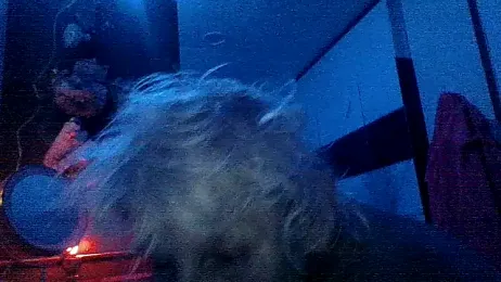 Jay81 webcam model stream image