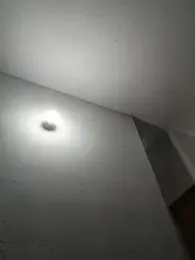 lunaywolfgray webcam model stream image