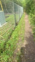 liegeois webcam cam4 model stream image