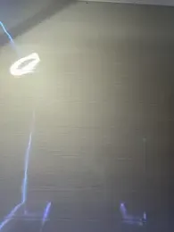 Paloma__LS webcam model stream image