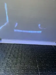 Paloma__LS webcam model stream image